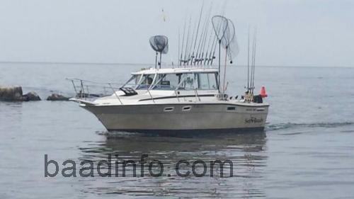 Bayliner Trophy 2860 anmeldelser og tekniske specifikationer